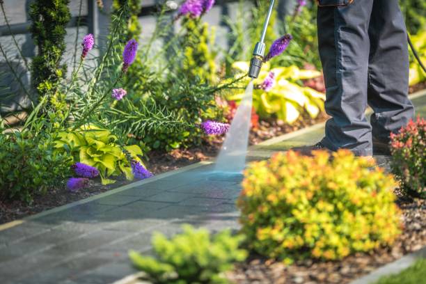 Best Driveway Pressure Washing  in Brownville, NJ